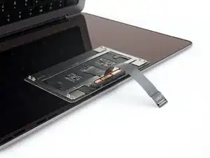 MacBook Pro 14" Late 2023 (M3) Trackpad Removal