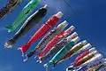 Carp streamers ye finiw ye minnu bɛ kɛ ka cɛnin bangeli delili kɛ cɛdenw ka don na. (Sagamihara dugu kɔnɔ)